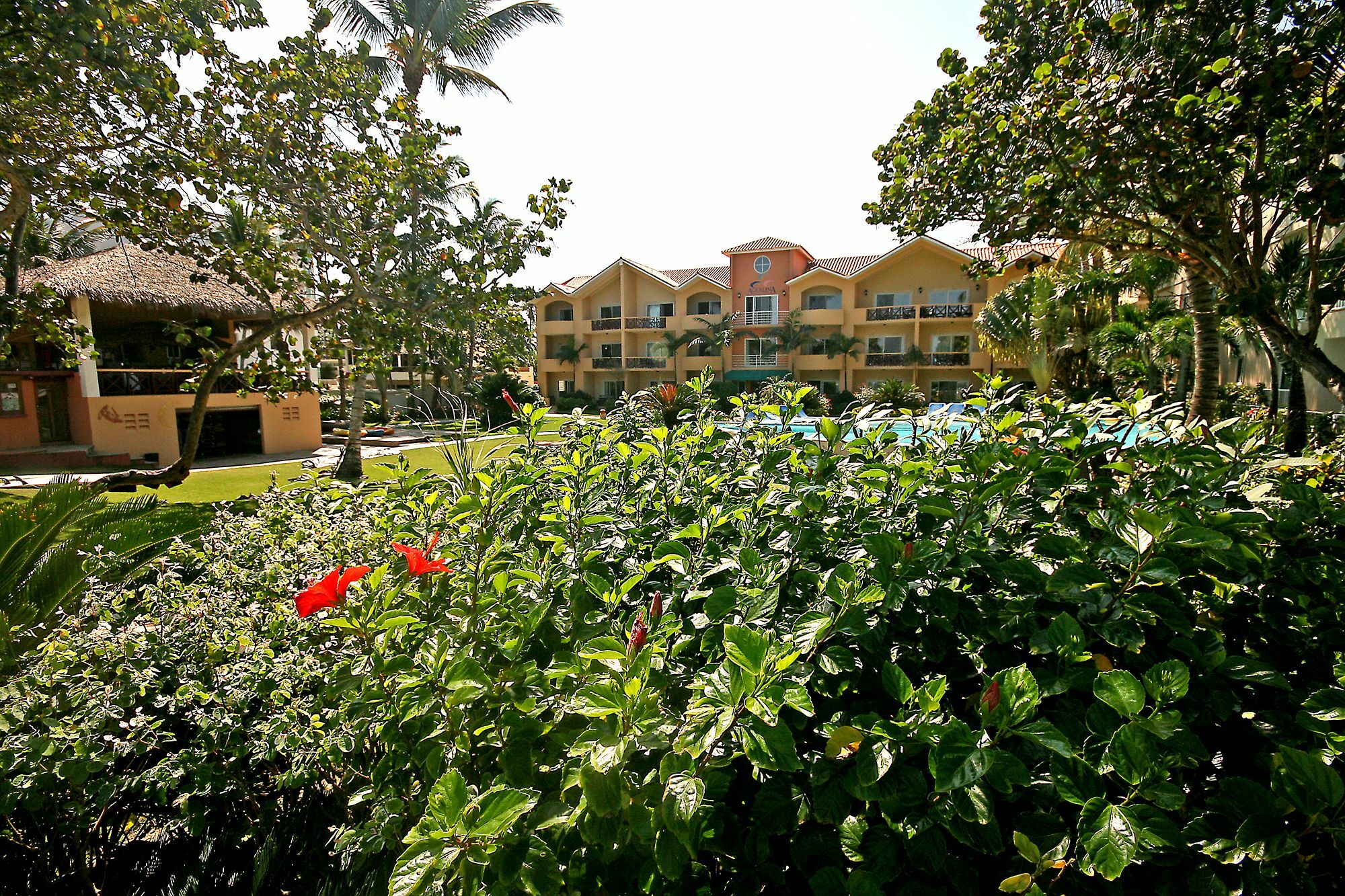 קברטה Agualina Kite Resort מראה חיצוני תמונה